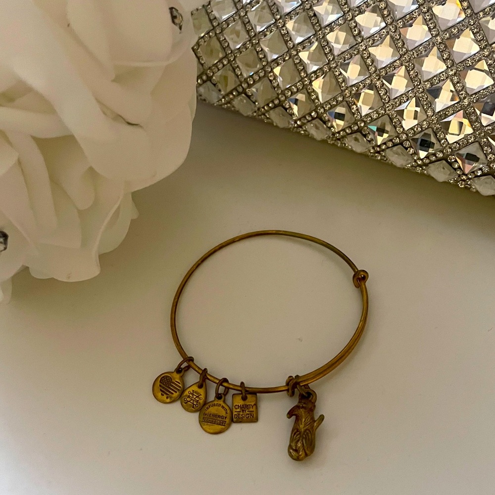 Alex and Ani Bracelet